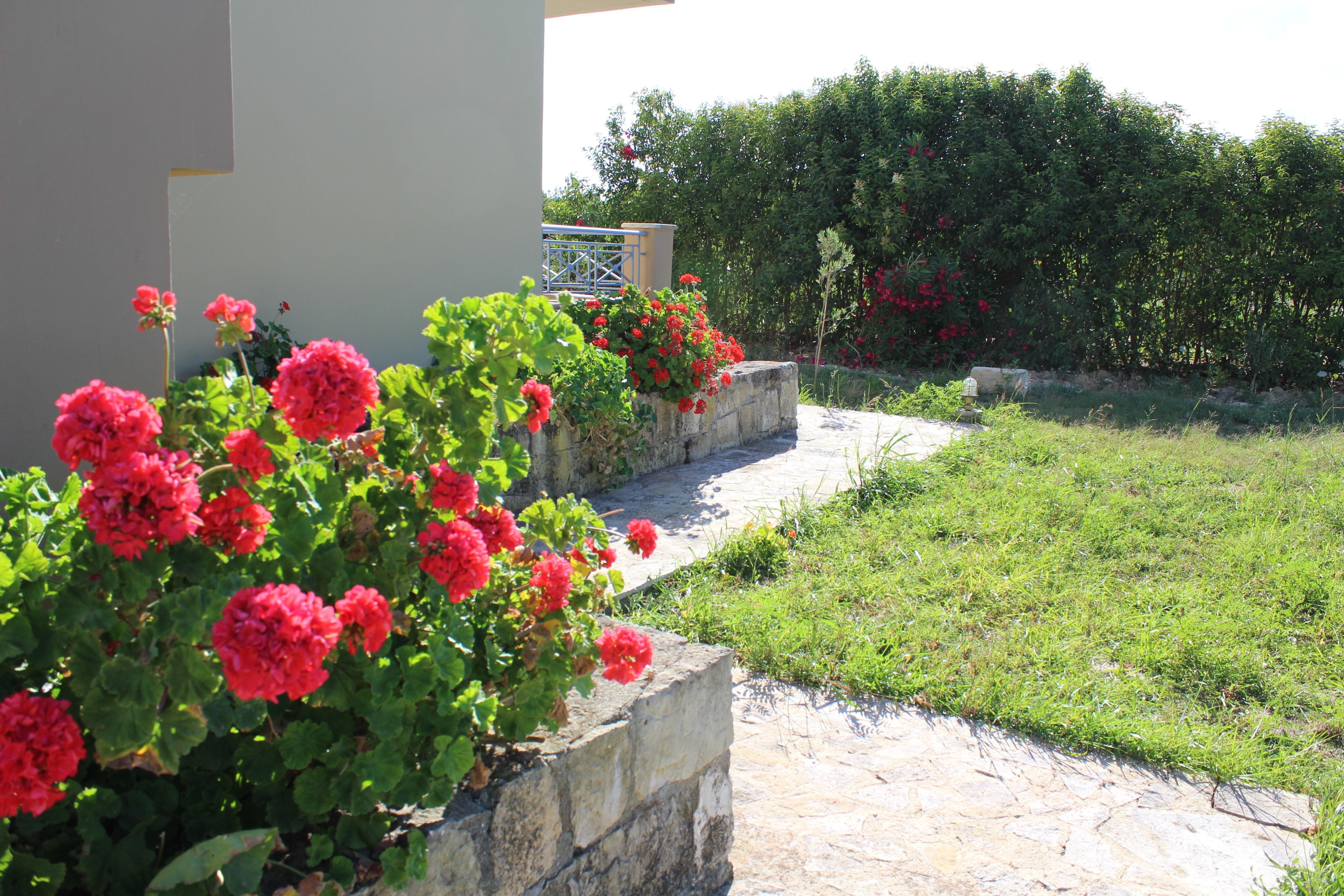 Aggelina S Apartments Xi Beach Extérieur photo